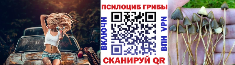 где найти наркотики  Арзамас  Псилоцибиновые грибы Psilocybine cubensis 